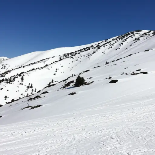雪覆盖了山坡。
