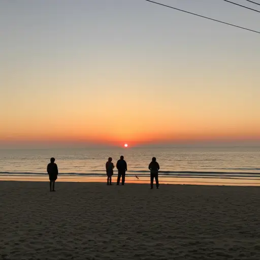 我们从海滩观看了日出。