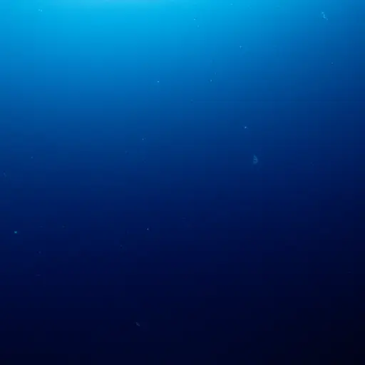 在3000米以下的深度很少有鱼。