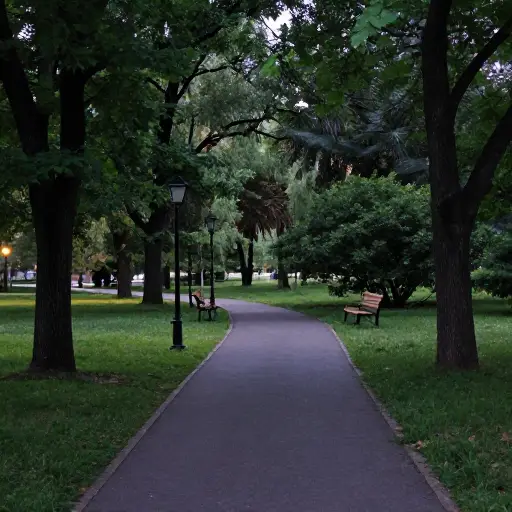 我们喜欢晚上在公园里四处走走。