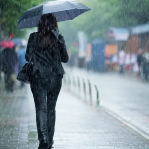 而她就在那里，日复一日，在雨中走着...