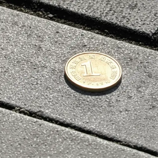 今天在人行道上发现了一枚闪闪发亮的硬币。