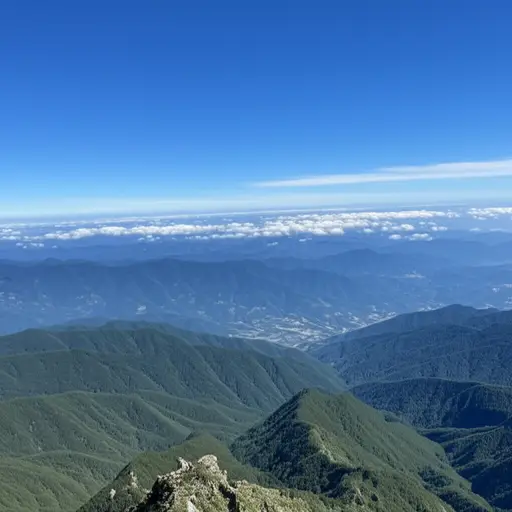 从山顶望去，景色美不胜收。