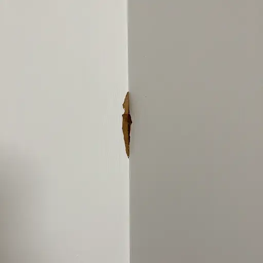 入住前把房屋损坏的地方拍下来。