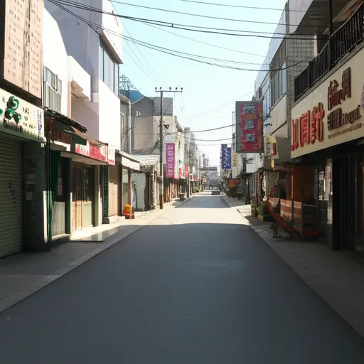街道尽头有一家商店。