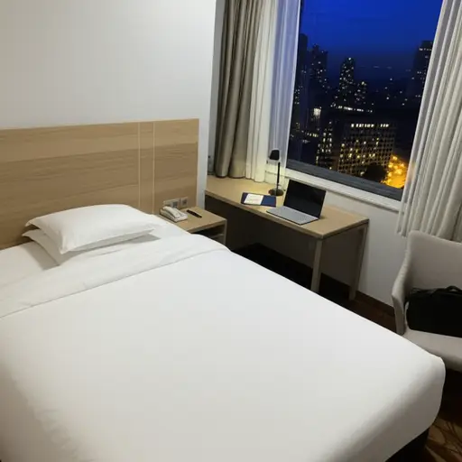 这次商务差旅包含在芝加哥的一晚住宿。